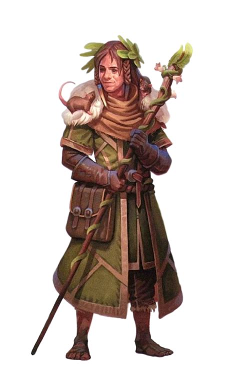 dnd 5e druid level up|dnd druid class guide.